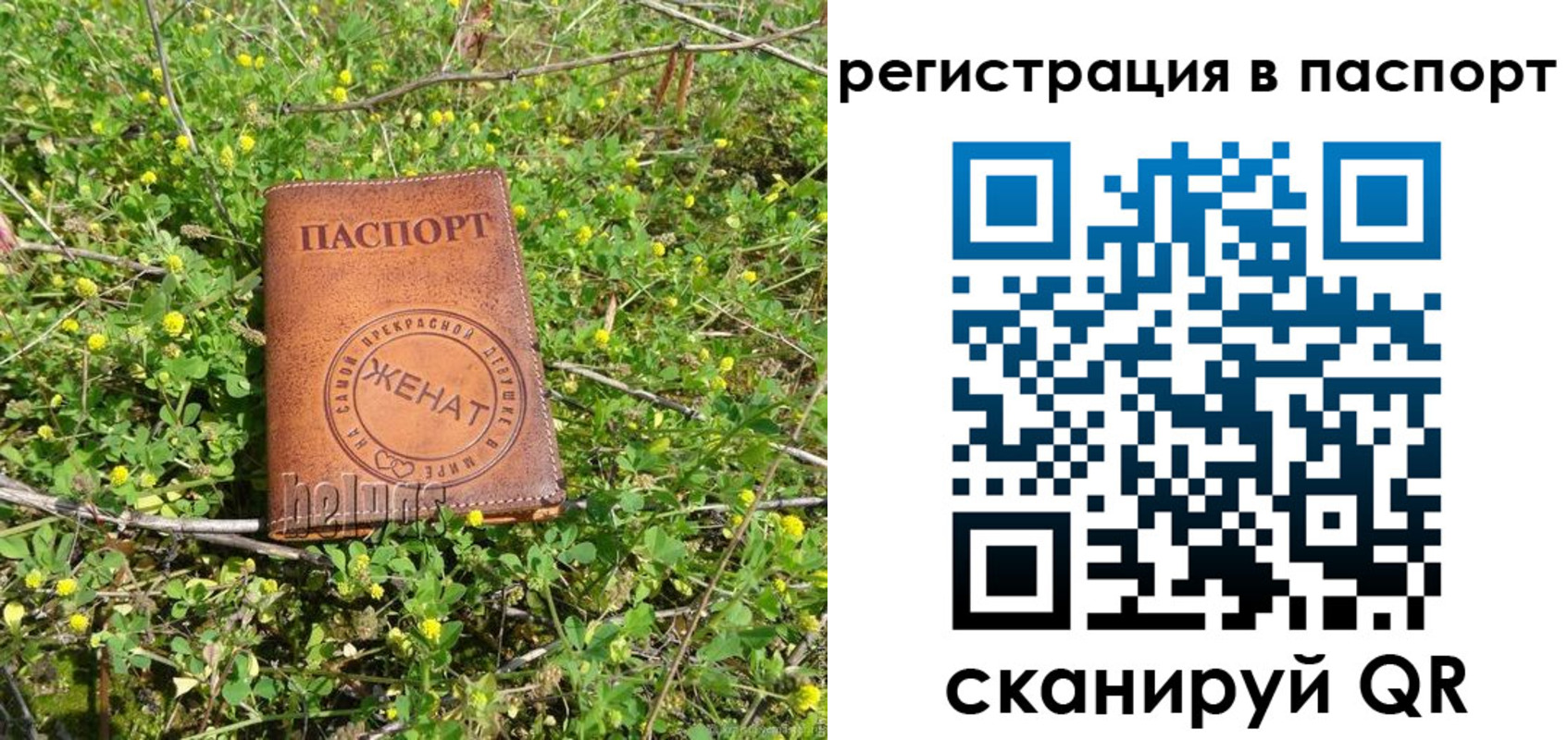 прописка законно в Камбарке